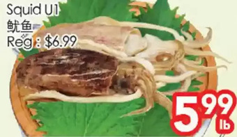 Superking Supermarket Squid u1 offer