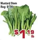 Mustard stem
