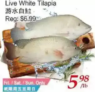 Tone Tai Supermarket Live white tilapia offer