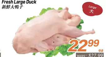 Seasons Foodmart Fresh large duck offer