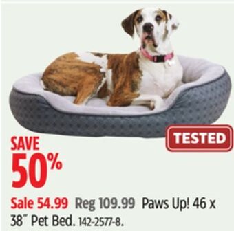 Canadian Tire Petco paws up! 46 x 38˝ pet bed offer