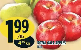 Marché Adonis Royal gala apples offer