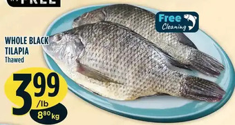 Marché Adonis Whole black tilapia offer