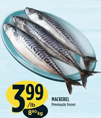 Marché Adonis Mackerel offer