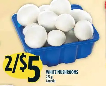 Marché Adonis White mushrooms offer