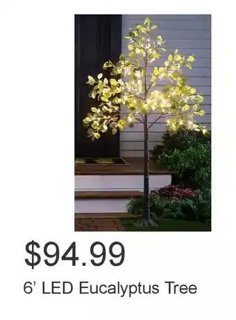 Costco 6’ led eucalyptus tree offer