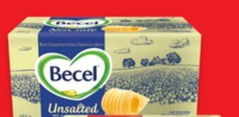 Walmart Becel plant-based bricks offer