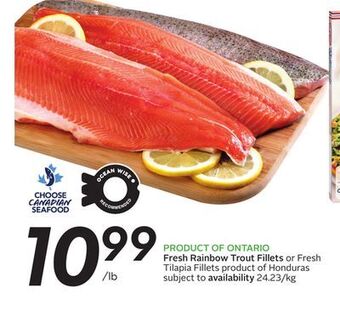 Sobeys Fresh rainbow trout fillets offer