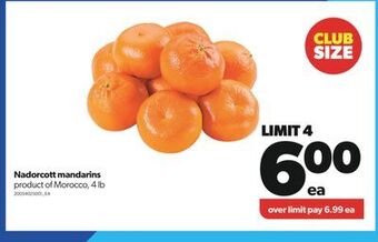 Real Canadian Superstore Nadorcott mandarins, 4 lb offer