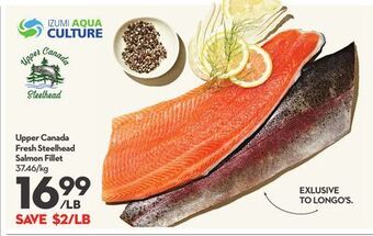 Longo's Upper canada fresh steelhead salmon fillet offer