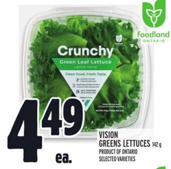 Metro Vision greens lettuces offer