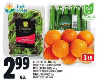 Metro Attitude salads offer