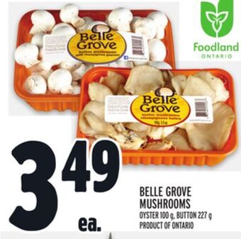 Metro Belle grove mushrooms offer