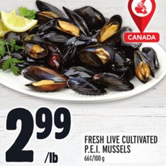 Metro Fresh live cultivated p.e.i. mussels offer