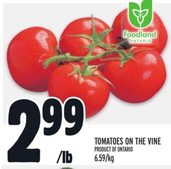 Metro Tomatoes on the vine offer