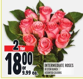 Metro Intermediate roses offer