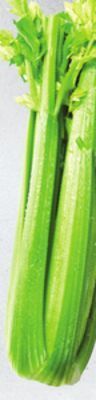 Sobeys Celery offer