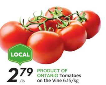 Sobeys Tomatoes on the vine offer