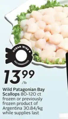 Sobeys Wild patagonian bay scallops offer