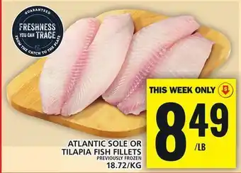 Food Basics Atlantic sole or tilapia fish fillets offer