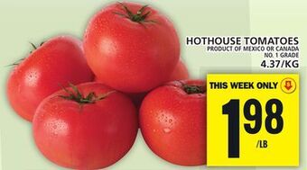 Food Basics Hothouse tomatoes offer