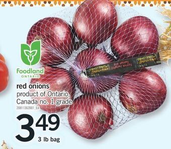 Fortinos Red onions, 3 lb bag offer