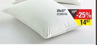 Sushi Shop Feather pillow offer