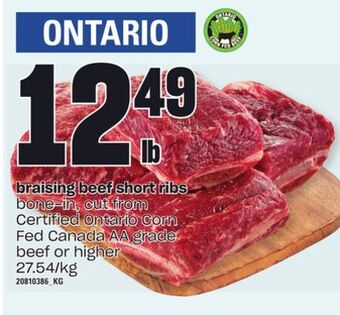 Braising beef short ribs