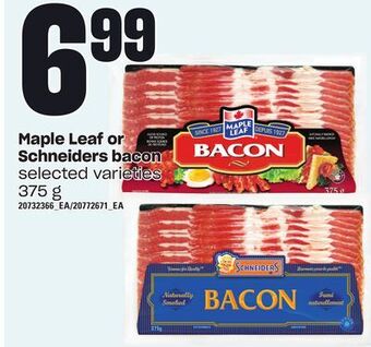 Zehrs Markets Maple leaf or schneiders bacon, 375 g offer