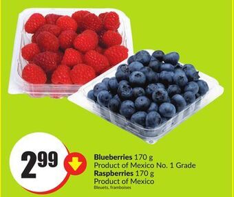 Chalo FreshCo Blueberries 170 g product of mexico no. 1 grade raspberries 170 g product of mexico offer