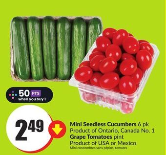 Chalo FreshCo Mini seedless cucumbers 6 pk product of ontario, canada no. 1 grape tomatoes pint product of usa or mexico offer