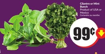 Chalo FreshCo Cilantro or mint bunch product of usa or mexico offer