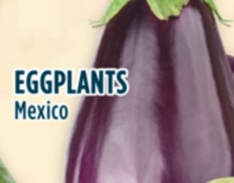 Marché Adonis Eggplants offer