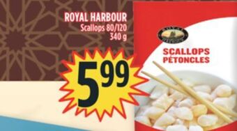 Marché Adonis Royal harbour scallops 80/120 offer