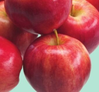 Giant Tiger 3 lb royal gala apples offer