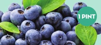 Giant Tiger 1 pint blueberries offer