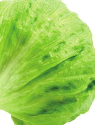 Giant Tiger Iceberg lettuce offer