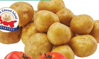 Giant Tiger 5 lb russet potatoes offer