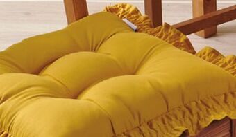 Giant Tiger Chair pad offer