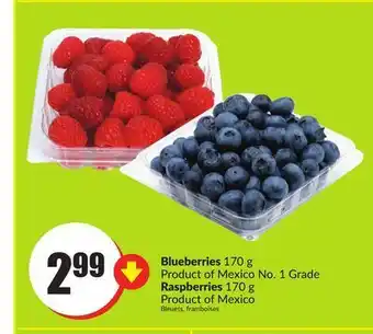 FreshCo Blueberries 170 g product of mexico no. 1 grade raspberries 170 g product of mexico offer