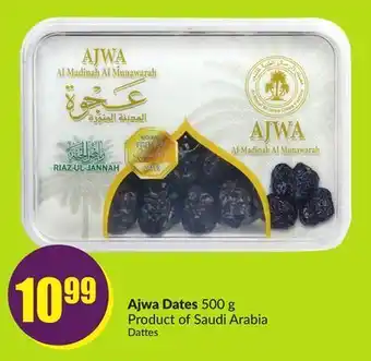 FreshCo Ajwa dates 500 g product of saudi arabia offer