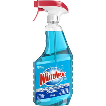 Home Depot Windex original offer
