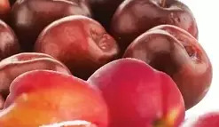 Giant Tiger 2 lb nectarines offer