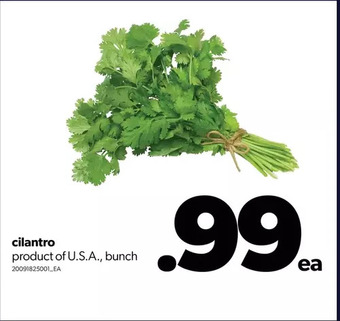 Real Canadian Superstore Cilantro offer