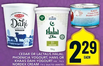 Food Basics Cedar or lactalis halal, phoenicia yogourt, hans or khaas dahi yogourt, nordex cream offer