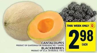 Food Basics Cantaloupes | blackberries offer