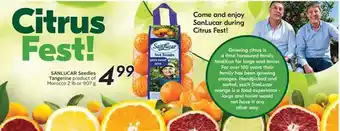 Sobeys Sanlucar seedless tangerine offer
