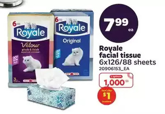 Real Canadian Superstore Royale facial tissue offer