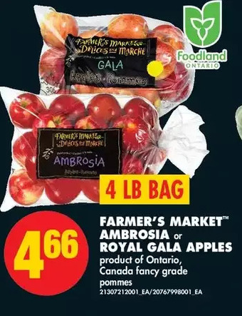 No Frills Farmer's market ambrosia or royal gala apples offer