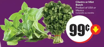 FreshCo Cilantro or mint bunch offer